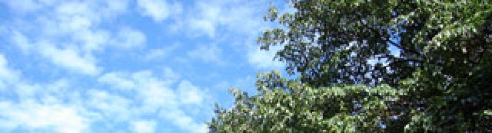 cropped-dDSC01248.jpg