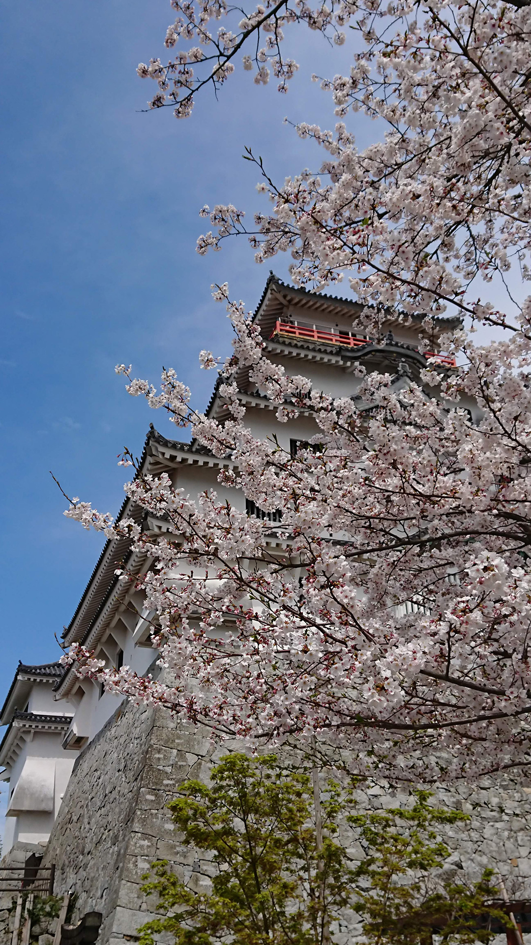 唐津城_201904-2