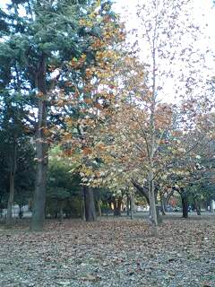 061203_1504~0001.jpg